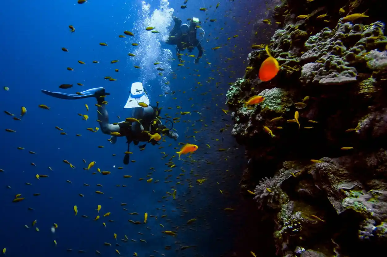 Avventure subacquee a Pantelleria: cosa aspettarsi